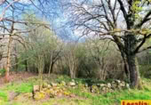 Non-developable land for sale on Barrio San Vicente de Toranzo, San Vicente de Toranzo, ref: TR258277 photo