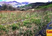 Non-developable land for sale on Barrio San Vicente de Toranzo, San Vicente de Toranzo, ref: TR258277 photo