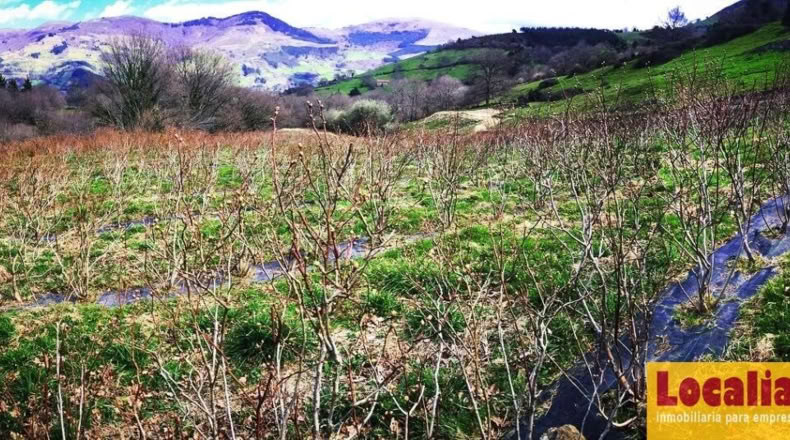 Cantabria - San Vicente de Toranzo - 48000m2