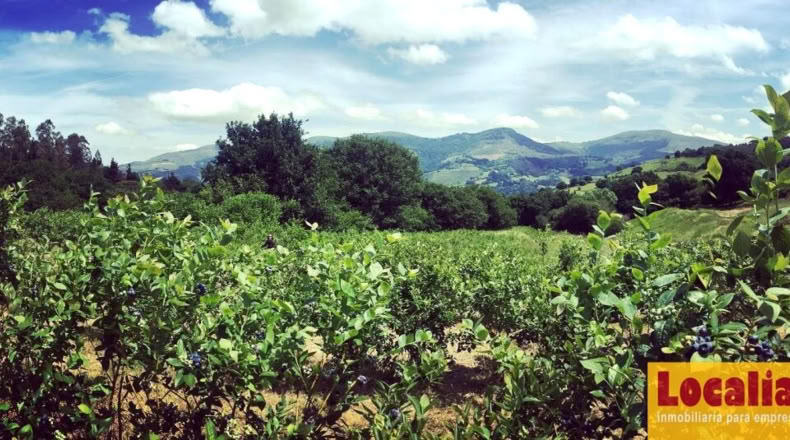 Cantabria - San Vicente de Toranzo - 48000m2