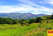Non-developable land for sale on Barrio San Vicente de Toranzo, San Vicente de Toranzo, ref: TR258277 photo