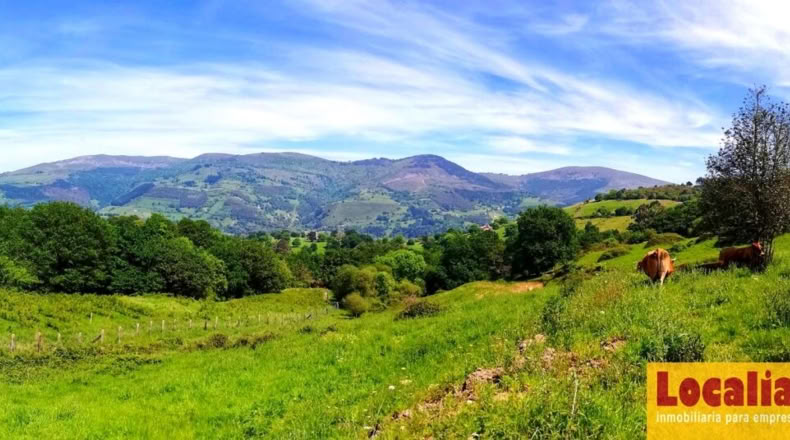 Cantabria - San Vicente de Toranzo - 48000m2