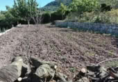 Masía con terreno en venta en Algatocín ref: TR200850 foto