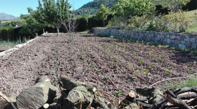 Málaga - Algatocín - 4000m2