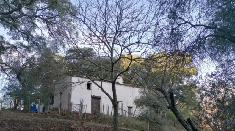 Málaga - Faraján - 40000m2