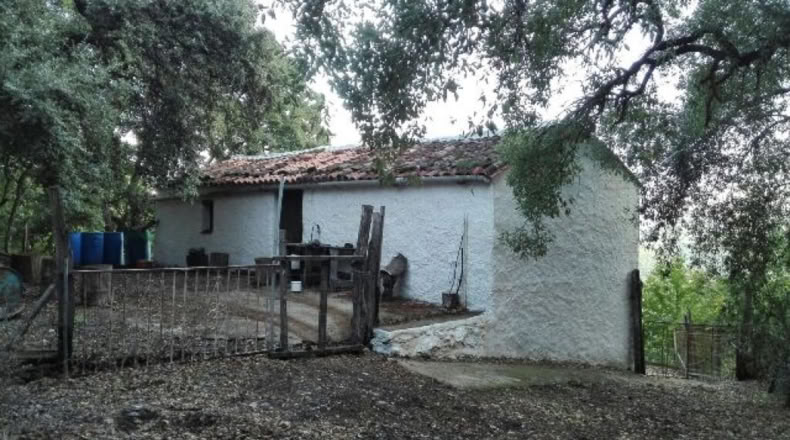 Málaga - Faraján - 40000m2
