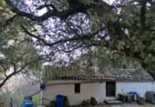 Masia amb terreny en venda a Faraján ref.: TR200833 foto