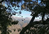 Masia amb terreny en venda a Faraján ref.: TR200833 foto