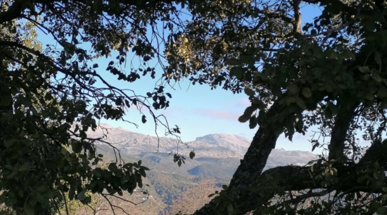 Málaga - Faraján - 40000m2