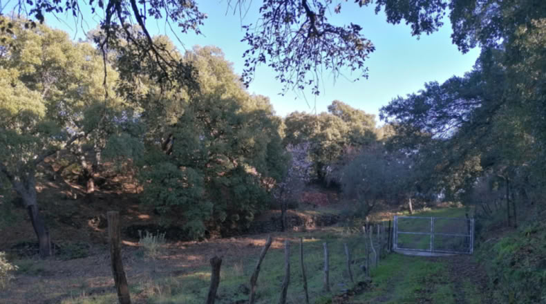 Málaga - Faraján - 40000m2