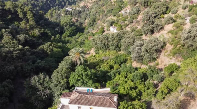 Málaga - Jubrique - 37620m2
