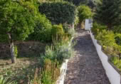 Masia amb terreny en venda a Jubrique ref.: TR200836 foto