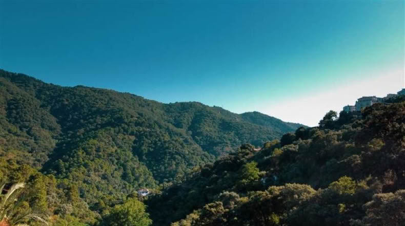 Málaga - Jubrique - 37620m2