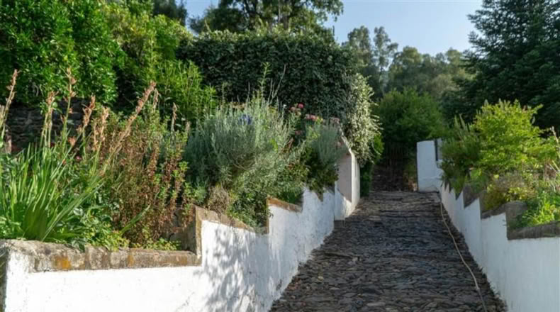Málaga - Jubrique - 37620m2