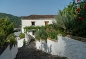 Masia amb terreny en venda a Jubrique ref.: TR200836 foto