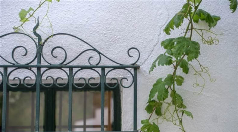 Málaga - Jubrique - 37620m2