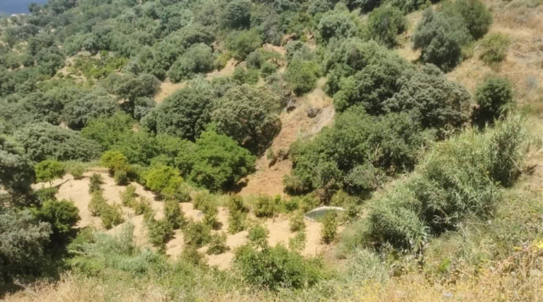 Málaga - Jubrique - 38000m2