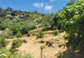 Masia amb terreny en venda a Jubrique ref.: TR200837 foto