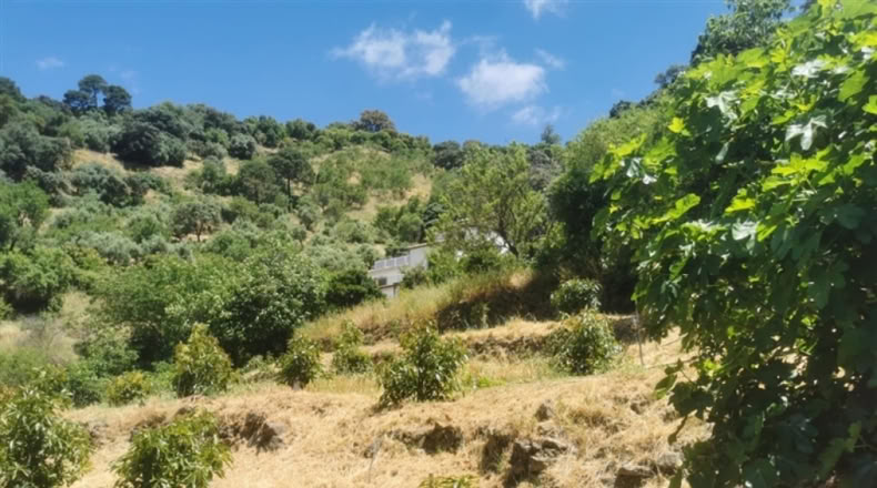Málaga - Jubrique - 38000m2