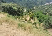 Masia amb terreny en venda a Jubrique ref.: TR200837 foto