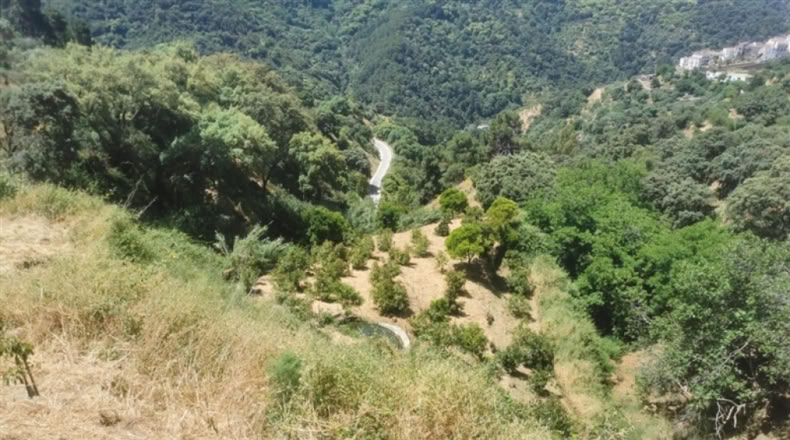 Málaga - Jubrique - 38000m2