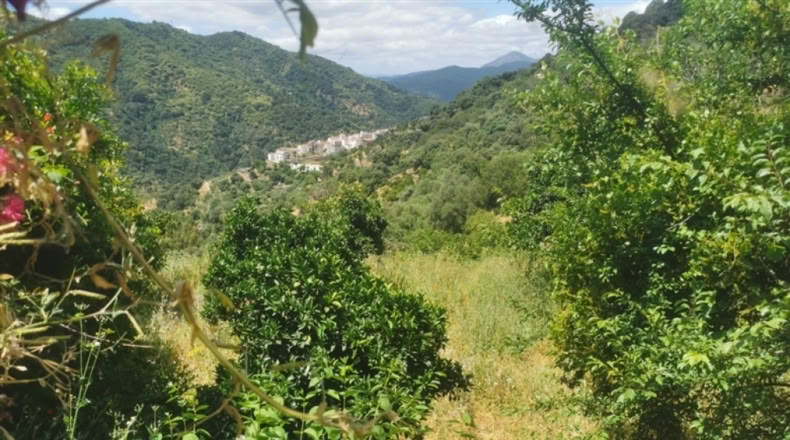 Málaga - Jubrique - 38000m2