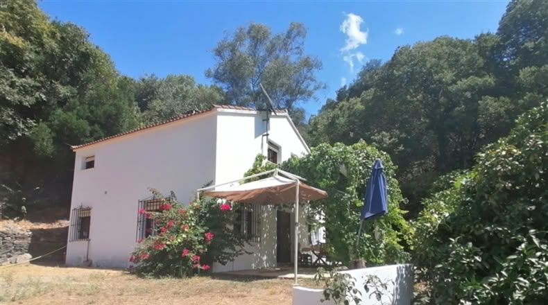 Málaga - Genalguacil - 8000m2