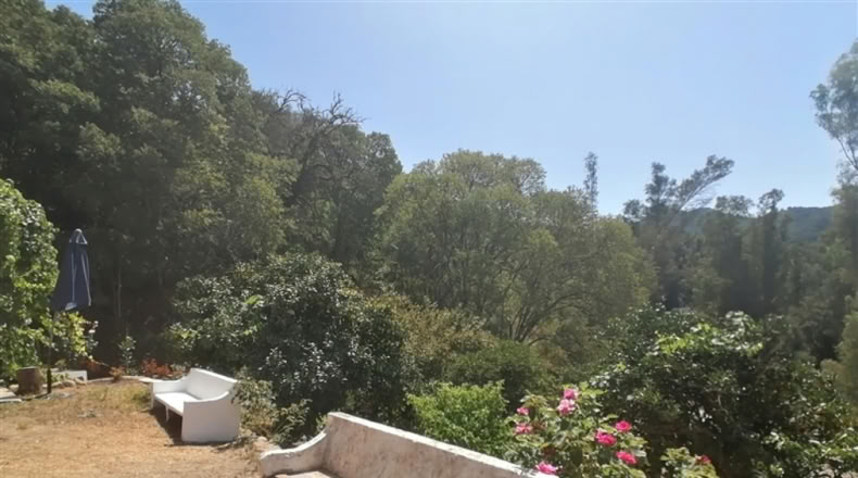 Málaga - Genalguacil - 8000m2
