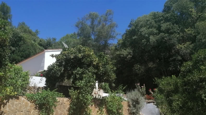 Málaga - Genalguacil - 8000m2