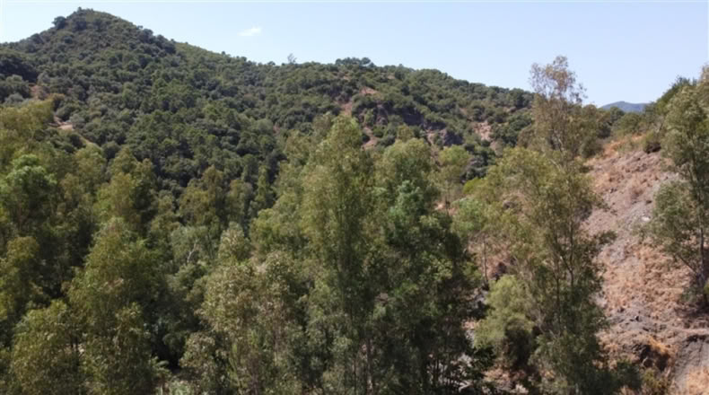 Málaga - Genalguacil - 8000m2