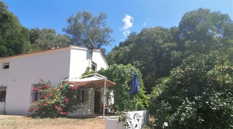 Málaga - Genalguacil - 8000m2