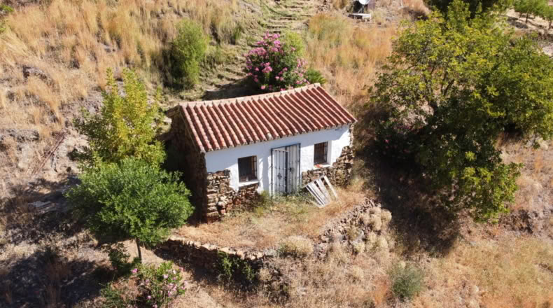 Málaga - Istán - 50000m2