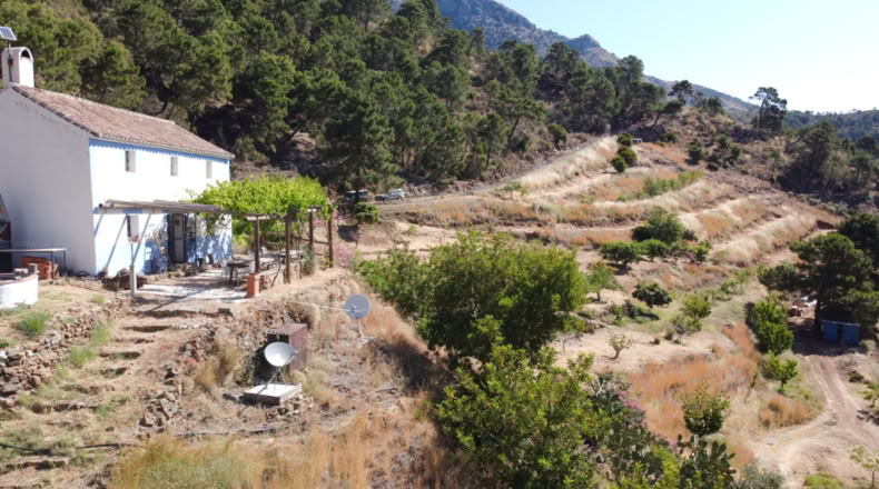 Málaga - Istán - 50000m2