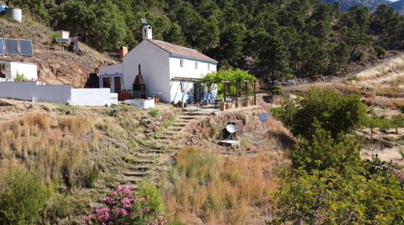 Málaga - Istán - 50000m2