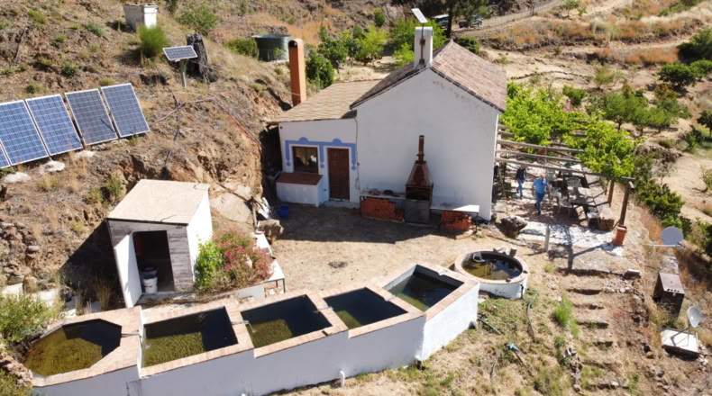 Málaga - Istán - 50000m2
