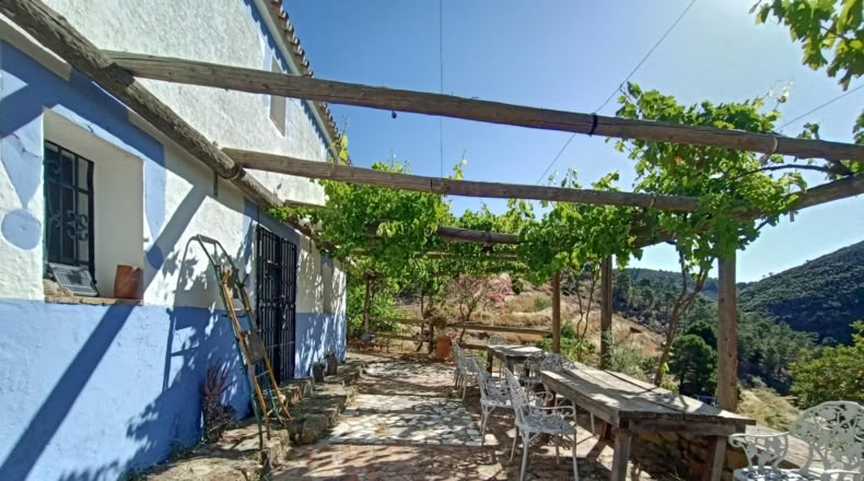 Málaga - Istán - 50000m2