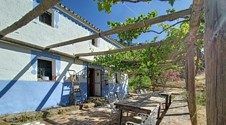 Málaga - Istán - 50000m2