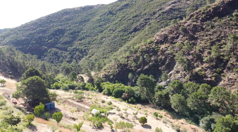 Málaga - Istán - 50000m2