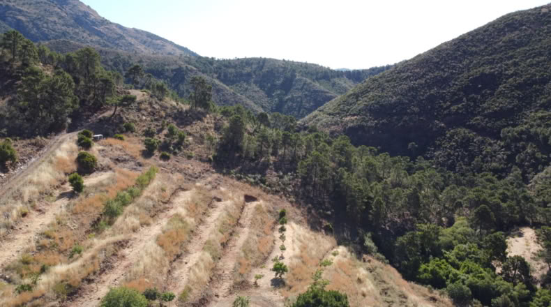 Málaga - Istán - 50000m2