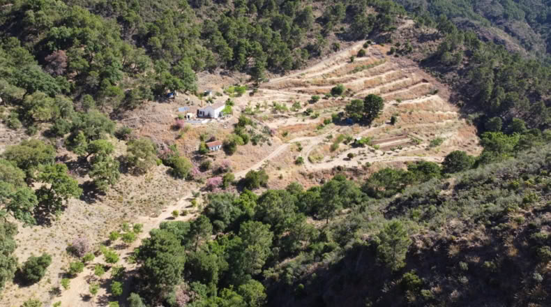 Málaga - Istán - 50000m2