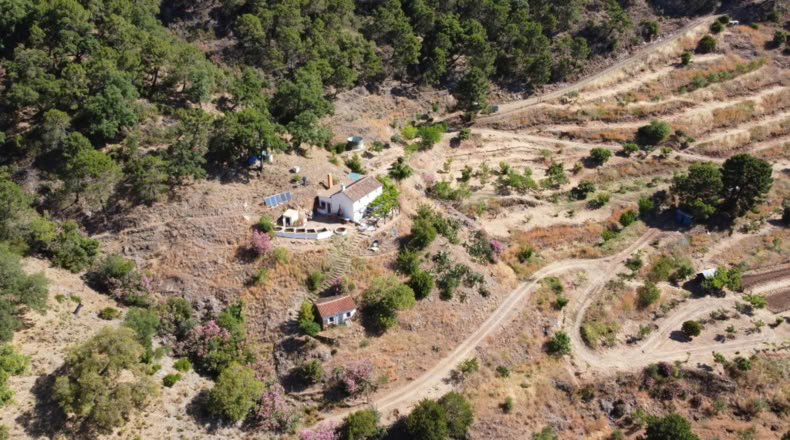 Málaga - Istán - 50000m2