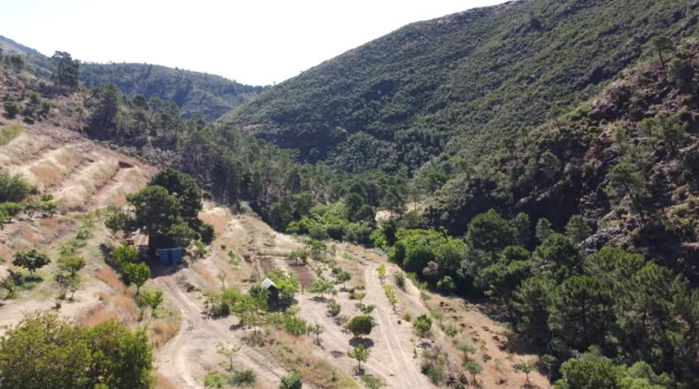 Málaga - Istán - 50000m2