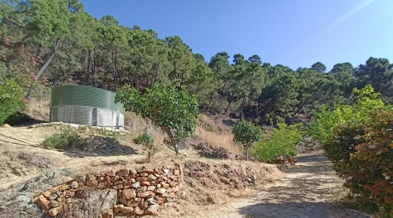 Málaga - Istán - 50000m2