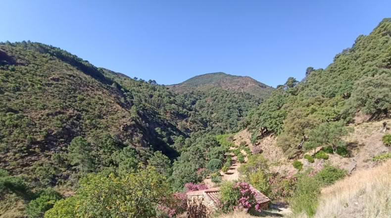 Málaga - Istán - 50000m2