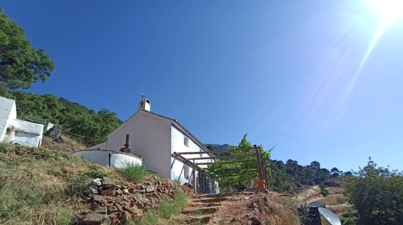 Málaga - Istán - 50000m2
