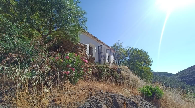 Málaga - Istán - 50000m2