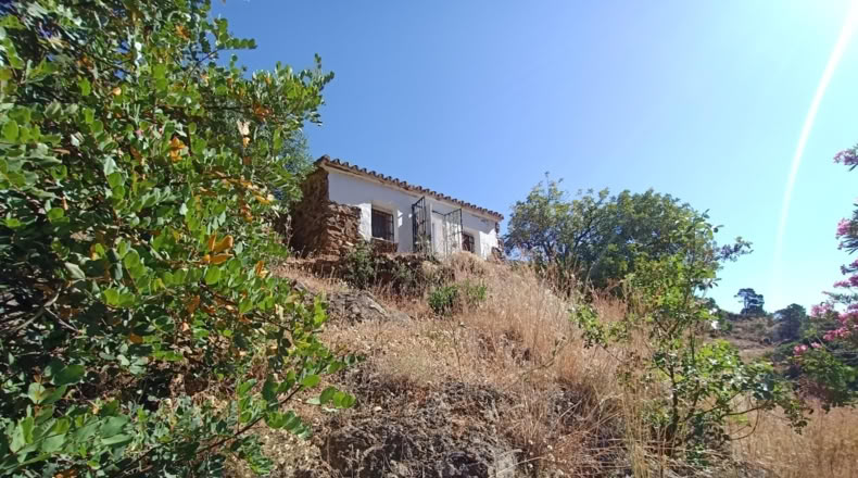 Málaga - Istán - 50000m2