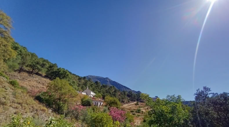 Málaga - Istán - 50000m2
