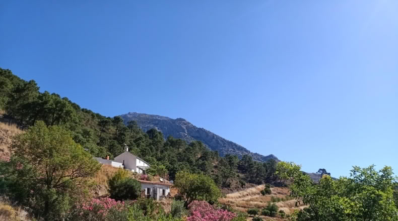Málaga - Istán - 50000m2