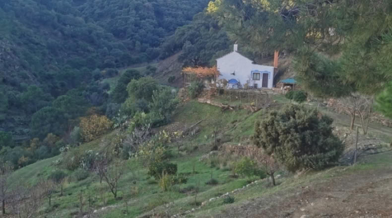 Málaga - Istán - 50000m2